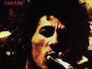 Bob Marley & The Wailers Catch A Fire 1995 MFSL 200 gram Vinyl #3714 NEAR MINT