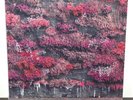 SLEEP TOKEN Even In Arcadia Bad World PINK LIQUID SPLATTER & MAGENTA Vinyl 2LP