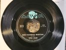 Surf Inst. 45 - Bobby Fuller & Fanatics - Our Favorite Martian - Donna - Rare