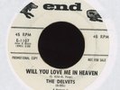 The Delvets - Will You Love Me In Heaven on End Promo Girl Group 45