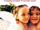 Smashing Pumpkins - Siamese Dream - Vinyl Record 2LP - F99z