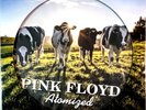 Pink Floyd –PICTURE DISC- Atomized: Live In London, BBC Paris Theatre July 1970