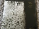 For Emma, Forever Ago by Bon Iver (Record, 2008)