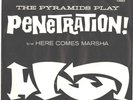 PYRAMIDS-RARER ALT.-BLACK COVER PICTURE SLEEVE+45--(PENETRATION)--PS--PIC-SLV