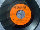 SHAGNASTY - RINGING IN MY EAR rare CANADA 1973 UNDOCUMENTED HARD ROCK FUZZ EX+++