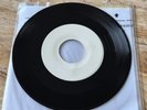 1984 Redd Kross White Flag Unreleased Desperate Teenage Runaways Vinyl Record 7
