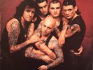 Rose Tattoo - Scarred For Life (LP, RE) (Very Good Plus (VG+))
