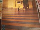 Syd Barrett The Madcap Laughs Vinyl British Pressing EMI Harvest SHVL 765