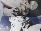 Madonna – True Blue, 1986 LP, Sire – 1-25442 w/POSTER and Inner Sleeve