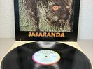 BONFA - JACARANDA - 12