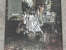 VV Exclusive La Dispute Wildlife Metallic Rust and Iron Vinyl LP /500 IN HAND