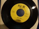 The Oceans 45 RPM 7” She’s Gone / Abilene EX Athens OH  Garage Pla Me Label ‘66