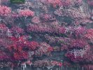 Sleep Token - Even In Arcadia - New 2 LP House Veridian Colored Vinyl