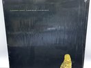 Andrew Bird - Armchair Apocrypha (2007, 1LP, 180g)  - Fat Possum
