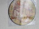 GENESIS LP SELLING ENGLAND BY THE POUND 2013 LIMITED PICTURE DISC NEAR MINT