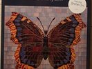 THE HOUSE OF LOVE SELF TITLED  LP UK ORIGINAL BUTTERFLY