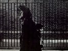 Neil Young After the Gold Rush (Vinyl)