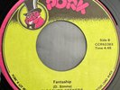 Pleasure Seekers. Fantaship / Give up the funk. Pork 45. Rare Modern Soul