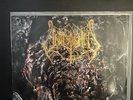 Unleashed - Shadows In The Deep „Original First Press LP“