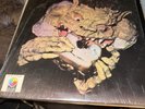 Barbed Wire Sandwich Black Cat Bones Vinyl