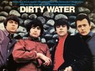 the standells: dirty water  LP