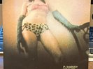 PJ HARVEY This Is Love (2001) 7” Single VINYL Record ISLAND