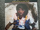 Lightspeed Champion - Falling Off the Lavender Bridge - Vinyl Record (2008)