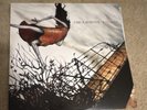 Circa Survive - Juturna LP Red Colored Vinyl 12