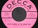 DON WOODY: you're barking up the wrong tree / bird-dog DECCA 7