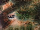 Pink Floyd A Saucerful of Secrets LP vinyl UK Columbia 1968 mono pressing black