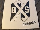 Boston Strangler Primitive Vinyl LP Battle Ruins SSD Waste Management SXE HC