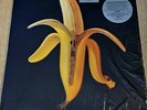 DANDY WARHOLS 