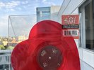 RARE Lana Del Rey Heart Shaped Vinyl (Love/Lust For Life 7’’) Urban Outfitters