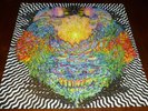 MEATBODIES 33 RPM LP MEATBODIES ROCK GARAGE FUZZ + BONUS POSTER IN THE RED 2014