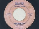45/7in - The Ascots - 