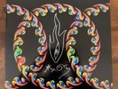 Tool - Lateralus Picture Disc 2 x LP ***Signed by Alex Grey***