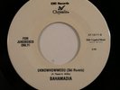 Rap Hip Hop 45 BAHAMADIA Uknowhowwedu CHRYSALIS VG+ with jukebox tag HEAR l