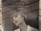 Taylor Swift cardigan “cabin in candlelight” Vinyl Single 2020 Republic Sealed