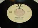 The Squires - The Sultan / Aurora - 1963 RARE - Neil Young's 1st 45 -  V Records