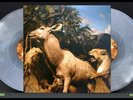 INTERPOL Our Love To Admire 2LP on CLEAR/SMOKEY WHITE VINYL  Gatefold RARE