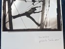 TIM HECKER RADIO AMOR 2018 RE 2xLP AVANTGARDE AMBIENT EXPERIMENTAL NM