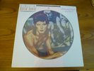 David Bowie - Diamond Dogs  Picture Disc LP -  RCA Records BOPIC 5 Numbered
