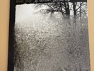 Bon Iver - For Emma Forever Ago LP Vinyl Record 2008