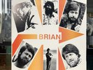 Brian Wilson -Brian Loves You - Vinyl LP 1987 - RT 4661
