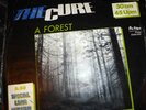 THE CURE 12