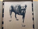 Alice In Chains Tripod 30th Anniversary Box Set Limited Edition NEW
