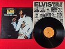 Elvis 