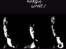 Young Marble Giants Colossal Youth Vinyl LP & Download Code New & Sealed