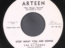 VI TONES: stop what you are doing / i guess i'll be ARTEEN 7