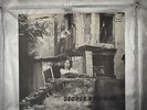 George Brigman Jungle Rot 12